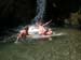 Porlezza 2003 132